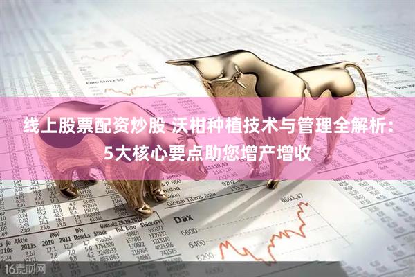 线上股票配资炒股 沃柑种植技术与管理全解析：5大核心要点助您增产增收