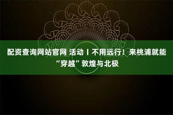 配资查询网站官网 活动〡不用远行！来桃浦就能“穿越”敦煌与北极